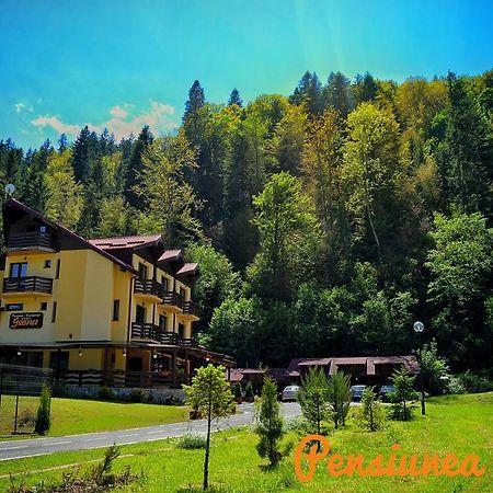 Pensiunea Geona Poiana Teiului Bagian luar foto