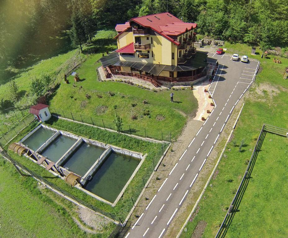 Pensiunea Geona Poiana Teiului Bagian luar foto