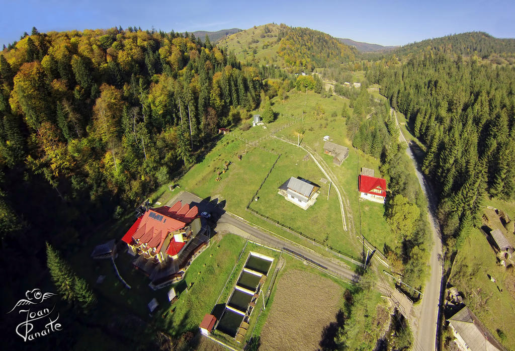 Pensiunea Geona Poiana Teiului Bagian luar foto