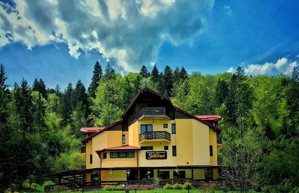 Pensiunea Geona Poiana Teiului Bagian luar foto