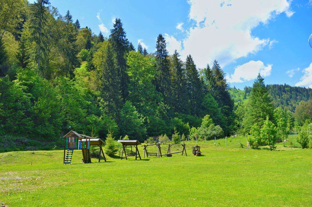 Pensiunea Geona Poiana Teiului Bagian luar foto