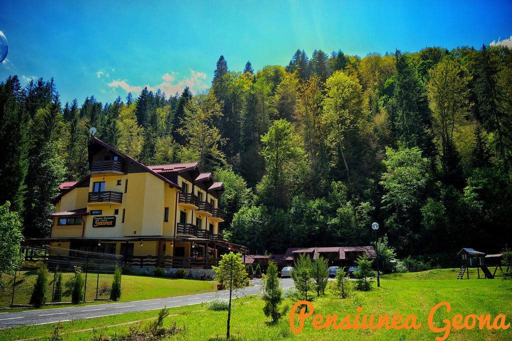 Pensiunea Geona Poiana Teiului Bagian luar foto